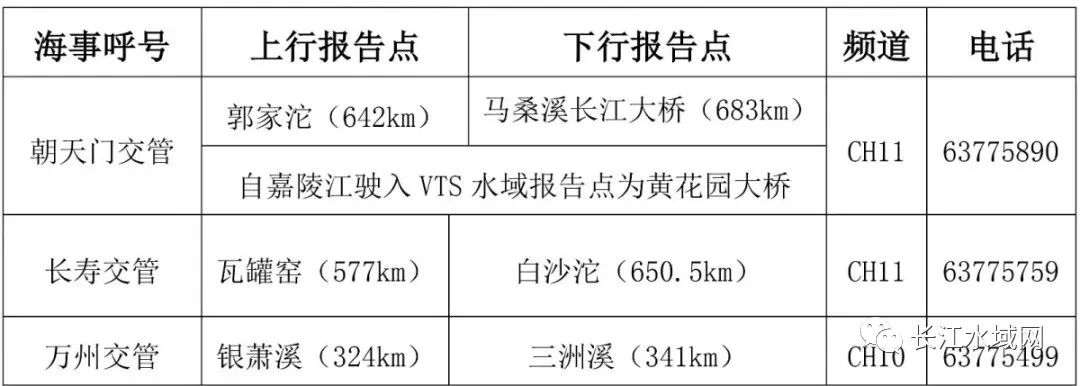 最新长江交管报告点,最新长江交管报告要点解析