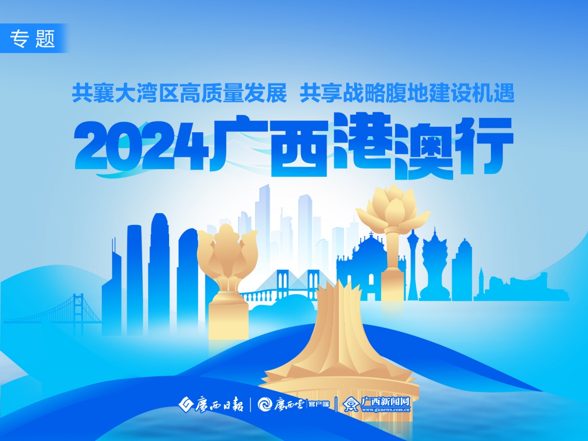 2024澳门正版免费精准大全,关于澳门正版免费精准大全的探讨与反思——警惕违法犯罪问题的重要性