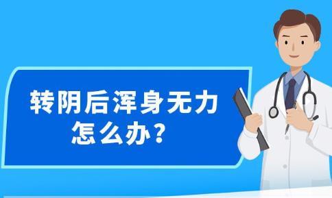 2024年12月30日 第41页