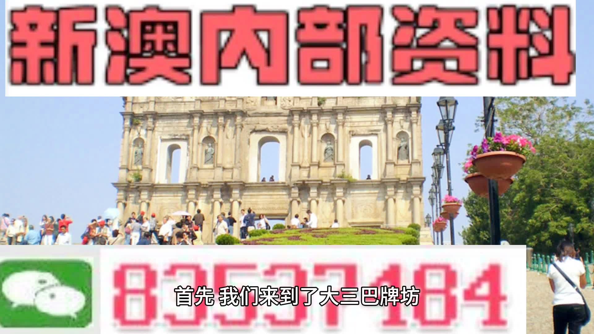 2024新澳最精准资料,揭秘2024新澳最精准资料，洞悉未来趋势，助力成功之路