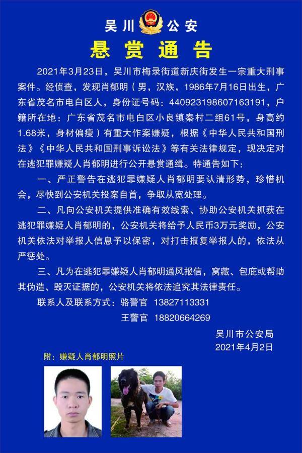 澳门一肖一特100精准免费,澳门一肖一特与犯罪问题，揭示真相与警示公众