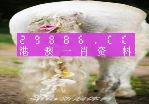 澳门火麒麟一肖一码2025056期 12-16-31-36-38-44D：49,澳门火麒麟一肖一码2025年第5期揭晓与解析，探索数字背后的秘密